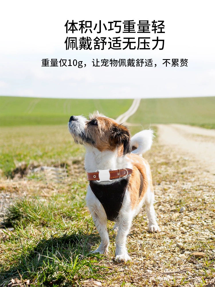 Pet Locator Cat Dog Tracking Reservation Handy Gadget GPS Collar Anti-Lost Monitoring Instrument Hairy Child